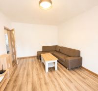 Wohnzimmer mit braunem Sofa und Tisch auf einem Boden mit Holzdekor in einer 3-Zimmer-Wohnung.