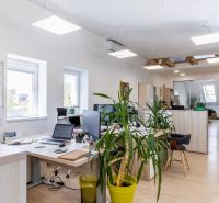 Beleuchtete Büros mit Computern, Pflanzen und einem Boden in Holzoptik.