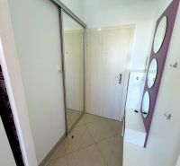 Eingangsflur in einer Einzimmerwohnung mit Fliesenboden und Spiegelschrank.