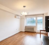 Wohnzimmer mit Holzboden, Klimaanlage und großem Fenster in einer 3-Zimmer-Wohnung.