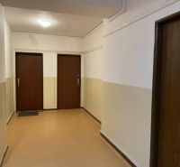 Der Flur eines Wohnhauses mit drei Türen und einer hellen Wand.