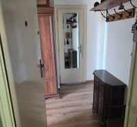 Der Flur in einer 2-Zimmer-Wohnung mit einem Boden in Holzoptik und einem Spiegel an der Tür.