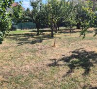 Ein Garten mit Obstbäumen auf einem Grundstück in der Gegend Za 3 mostami, Nové Zámky.