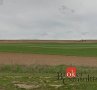 Weitläufige grüne Felder in Lužianky, geeignet für Grundstücke - Wohnen.