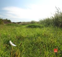 Sonnige Grundstücke - Wohnen in Nitra mit üppiger Vegetation und blauem Himmel.