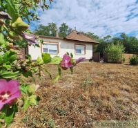Ein Einfamilienhaus in Kamenica nad Hronom, umgeben von Blumen und trockenem Gras auf dem Grundstück.