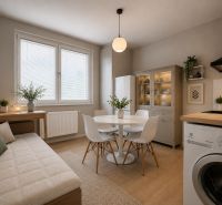 Küche in einer Einzimmerwohnung mit Tisch, Stühlen, Sofa und Boden in Holzoptik.
