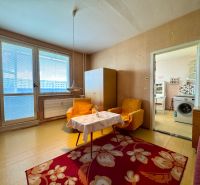 Innenraum einer 1-Zimmer-Wohnung mit Teppich und Möbeln, Geschirrspüler in der Küche.