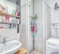 Badezimmer in einer 2-Zimmer-Wohnung mit Dusche, Waschbecken und Waschmaschine.