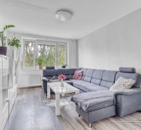 Wohnzimmer in einer 2-Zimmer-Wohnung mit Sofa, Holzboden und Pflanzen.