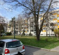 Autos, die vor einem Wohnhaus mit Balkonen in Bratislava - Ružinov, Staré Záhrady parken.