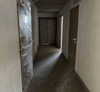 Flur in einem Einfamilienhaus mit beigefarbenen Fliesen auf dem Boden und Plastiktüren.