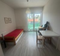 Einzimmerwohnung mit Möbeln, Boden mit Holzdekor, heller Raum und Balkontüren.