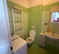 Badezimmer eines Einzimmerapartments mit grünen Fliesen, Waschbecken, Toilette und Waschmaschine.