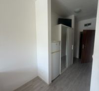 Einzimmerwohnung mit Holzboden, Kühlschrank und Einbauschrank.