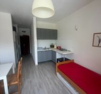 Ein Studio mit Holzboden und Küchenzeile, enthält einen Ess- und Schlafbereich.