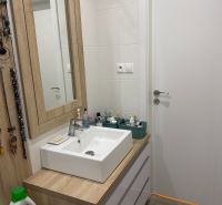 Badezimmer in einer 2-Zimmer-Wohnung mit Waschbecken und Möbeln in Holzoptik.