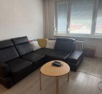 Wohnzimmer in einer 2-Zimmer-Wohnung mit schwarzem Sofa und Holzboden.