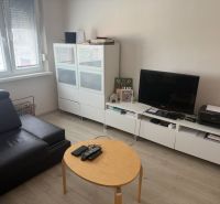 Wohnzimmer in einer 2-Zimmer-Wohnung mit Holzboden und modernen Möbeln.