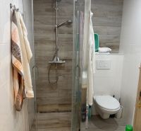 Badezimmer in einer 2-Zimmer-Wohnung mit Holzboden und Duschkabine.