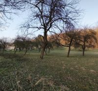 Ein Garten mit Laubbäumen auf einem Wohngrundstück in Veľký Krtíš, A. H. Škultétyho.