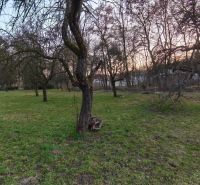 Ein Garten mit einer Rasenfläche und Bäumen in der A. H. Škultétyho Straße in Veľký Krtíš.