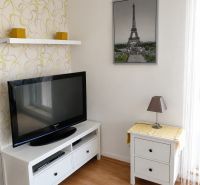 Wohnzimmer in einer Zweizimmerwohnung mit Holzboden, Fernseher und Tisch.