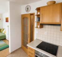Küche mit Elektrogeräten und Wohnbereich mit farbigem Teppich in einer 2-Zimmer-Wohnung.