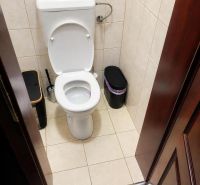 Toilette mit einer weißen Keramikschüssel und Fliesen in einem Einfamilienhaus.