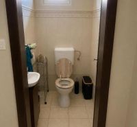 Badezimmer im Einfamilienhaus mit WC und Waschbecken.