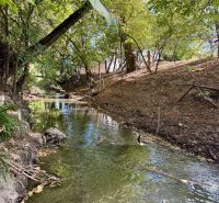 Ein Waldfluss, umgeben von Bäumen und Grün im Schatten.