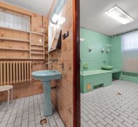 Ein Badezimmer in einem Einfamilienhaus mit grünen Fliesen und einem blauen Waschbecken, Retro-Design.