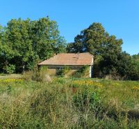 Ein von Vegetation umgebenes Haus in der Hauptstraße in Ceroviny, Grundstücke - Wohnen.