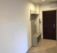 In der Einzimmerwohnung befindet sich ein Eingangsflur mit einer Garderobenwand und einem Boden in Holzoptik.
