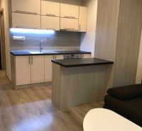 Einzimmerwohnung mit Küche, Holzboden, heller Innenraum mit Sofa.