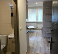 Ein Studio-Apartment mit Holzdekorboden, sichtbar ist das Badezimmer und der Wohnbereich.