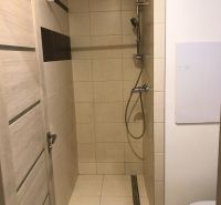 Badezimmer mit Duschkabine in einem Einzimmerapartment, Fliesen mit beigem und dunklem Detail.
