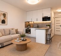Wohnzimmer in einer 2-Zimmer-Wohnung mit Sofa, Küchenzeile und Holzboden.