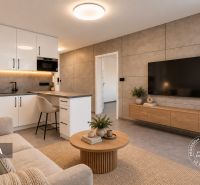Wohnzimmer in einer 2-Zimmer-Wohnung mit Küche, Sofa und Fernseher an der Wand.