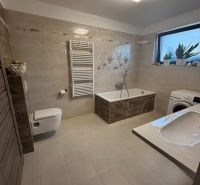 Ein Badezimmer in einem Einfamilienhaus mit einer Badewanne, einem Waschbecken, einer Waschmaschine und dekorativen Pflanzen.