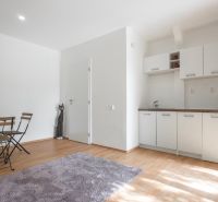 Ein Innenraum mit Küchenzeile, weißen Wänden und einem Boden in Holzoptik auf einem Erholungsgrundstück.
