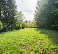 Eine grüne Wiese, umgeben von Bäumen, auf Erholungsgrundstücken in Bratislava - Devín.