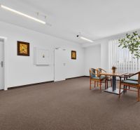 Büros mit Tisch und Stühlen, Teppich, Zimmerpflanze, dekorative Bilder.