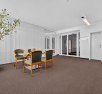 Bäume und Stühle schaffen eine entspannte Atmosphäre in Büros.