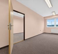 Büros mit Aussicht, Teppich, pastellfarbene Wände, Beleuchtung, Fenster, Heizkörper.