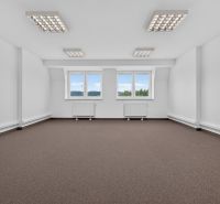 Ein geräumiges Büro mit Fenstern und Teppichboden, Beleuchtung und neutralen Wänden.