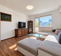 Wohnzimmer in einer Vierzimmerwohnung mit Möbeln, Holzboden und Fernseher.