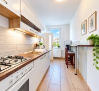 Küche in einer 3-Zimmer-Wohnung mit Kochfeld, Theke und Pflanzen.