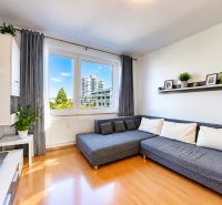 Wohnzimmer in einer 3-Zimmer-Wohnung mit einem großen Sofa, Fernseher und Pflanzen auf einem Boden mit Holzdekor.