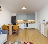 Wohnzimmer mit Küche in einer 2-Zimmer-Wohnung mit Holzboden und Esstisch.